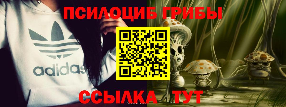 Псилоцибиновые грибы мухоморы Губкин