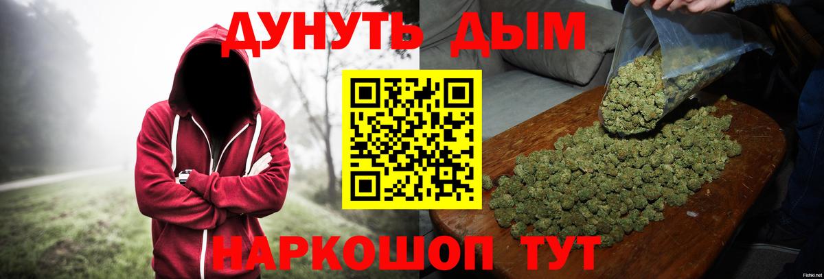 Шишки марихуана планчик  Канабис THC 21%  Губкин  Марихуана THC 21%  Конопля сатива  Вход с VPN 